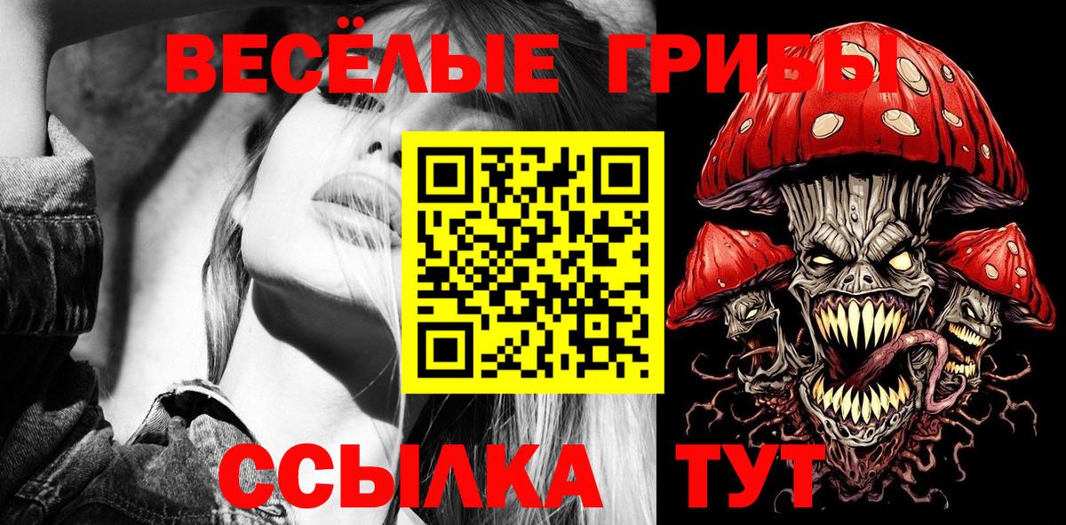 Россошь  Псилоцибиновые грибы Psilocybine cubensis  Вход с VPN  Псилоцибиновые грибы GOLDEN TEACHER 