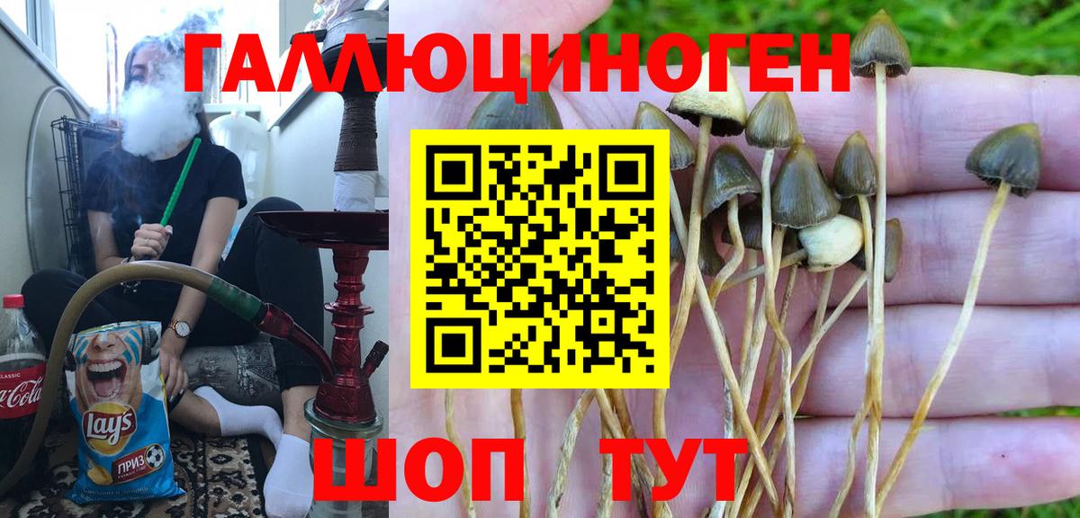 Псилоцибиновые грибы ЛСД Россошь